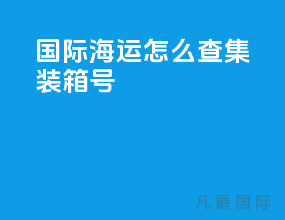 国际海运怎么查集装箱号