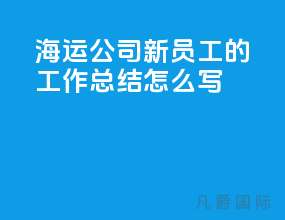 海运公司新员工的工作总结怎么写