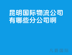 昆明国际物流公司有哪些分公司啊