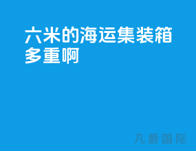 六米的海运集装箱多重啊