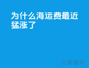 为什么海运费最近猛涨了