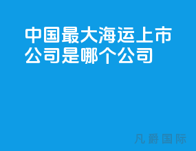 中国最大海运上市公司是哪个公司
