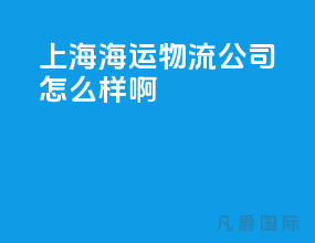 上海海运物流公司怎么样啊