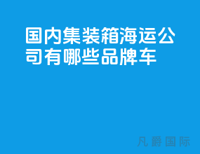 国内集装箱海运公司有哪些品牌车