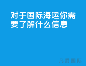 对于国际海运你需要了解什么信息