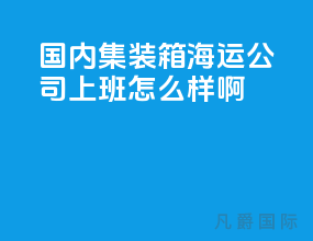 国内集装箱海运公司上班怎么样啊