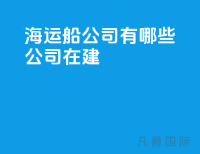 海运船公司有哪些公司在建