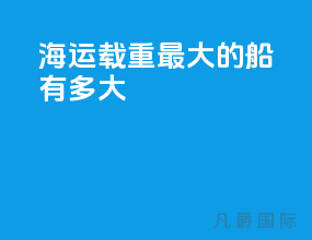 海运载重最大的船有多大