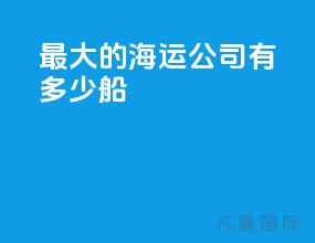 最大的海运公司有多少船