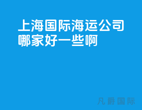 上海国际海运公司哪家好一些啊