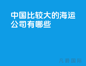 中国比较大的海运公司有哪些