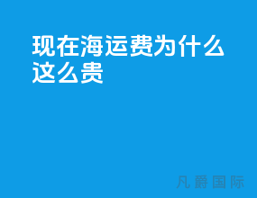 现在海运费为什么这么贵