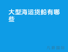大型海运货船有哪些