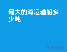 最大的海运输船多少吨