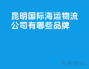 昆明国际海运物流公司有哪些品牌