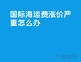 国际海运费涨价严重怎么办