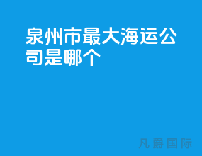 泉州市最大海运公司是哪个