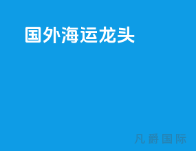 国外海运龙头