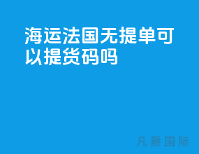海运法国无提单可以提货码吗