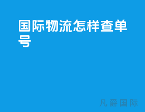 国际物流怎样查单号