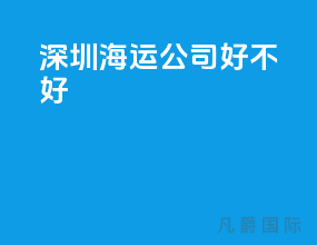 深圳海运公司好不好