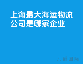 上海最大海运物流公司是哪家企业