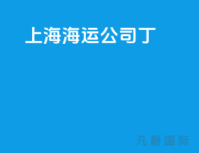 上海 海运公司丁