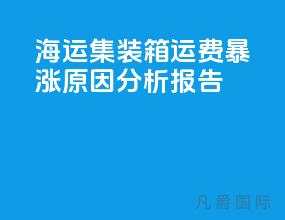 海运集装箱运费暴涨原因分析报告