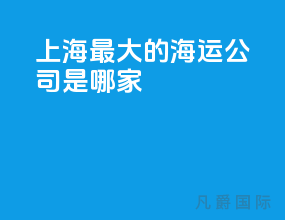 上海最大的海运公司是哪家