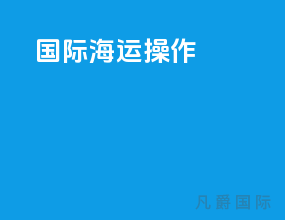 国际海运操作