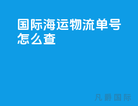 国际海运物流单号怎么查