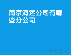 南京海运公司有哪些分公司