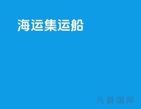 海运集运船