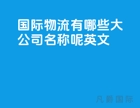 国际物流有哪些大公司名称呢英文