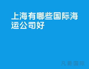 上海有哪些国际海运公司好