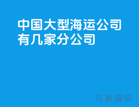 中国大型海运公司有几家分公司