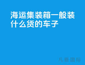 海运集装箱一般装什么货的车子