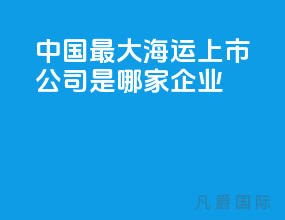 中国最大海运上市公司是哪家企业