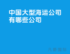 中国大型海运公司有哪些公司