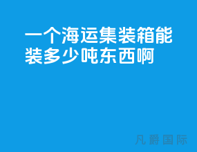 一个海运集装箱能装多少吨东西啊