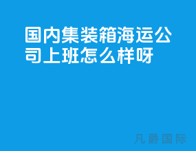 国内集装箱海运公司上班怎么样呀