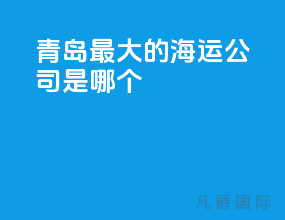 青岛最大的海运公司是哪个