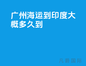 广州海运到印度大概多久到