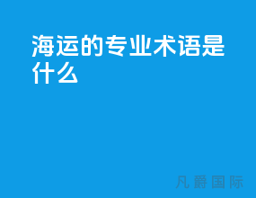海运的专业术语是什么