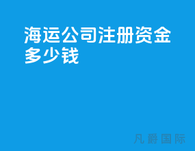 海运公司注册资金多少钱