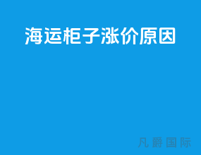 海运柜子涨价原因