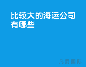 比较大的海运公司有哪些