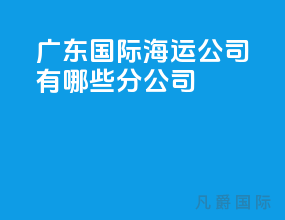 广东国际海运公司有哪些分公司
