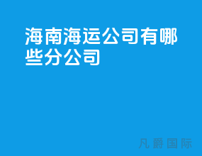 海南海运公司有哪些分公司