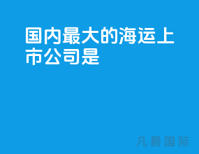 国内最大的海运上市公司是